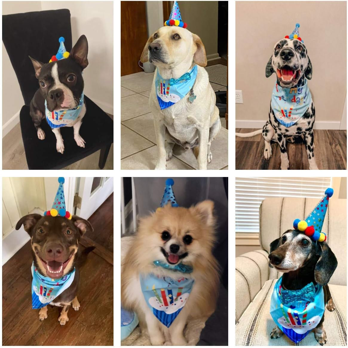 Dog Birthday Bandana Scarf and Dog Girl Boy Birthday Party Hat with Cute Dog Bow Tie Collar for Small Medium Dog Pet